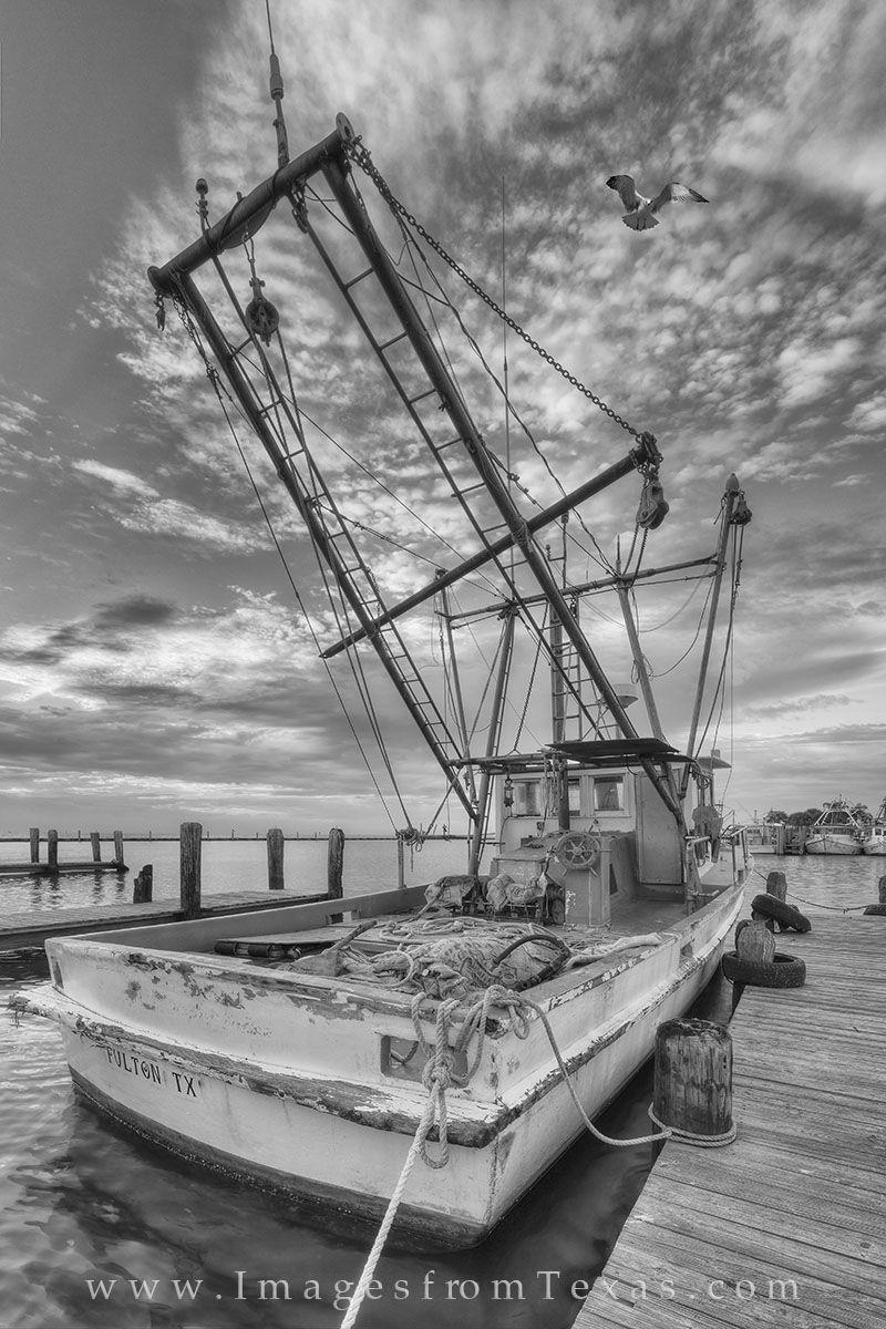 Black and White Shrimp Boat in Rockport Harbor 25 ..